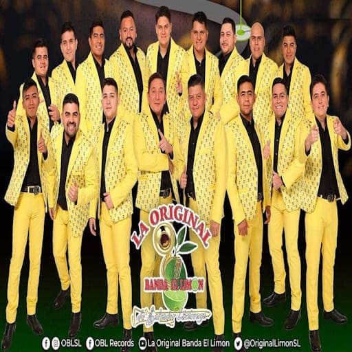 Dia de La Familia Y La Original Banda El Limon Chicago Tickets