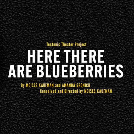 Here There Are Blueberries Chicago Tickets