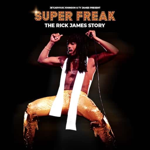 Je'Caryous Johnson's Super Freak: The Rick James Story Chicago Tickets