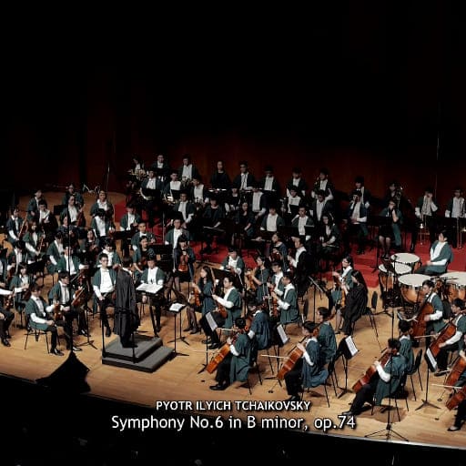 Tchaikovsky Symphony No. 6 Chicago Concert Tickets